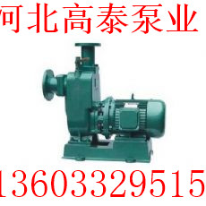 65ZX25-32雨水排污自吸泵