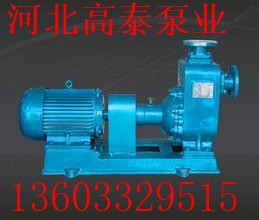 250ZX400-75自吸泵價格