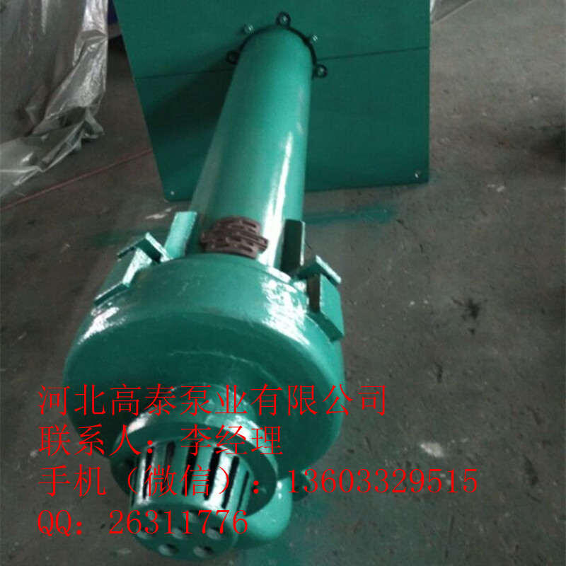 高泰SP液下渣漿泵 65QV-SP液下渣漿泵生產(chǎn)廠家